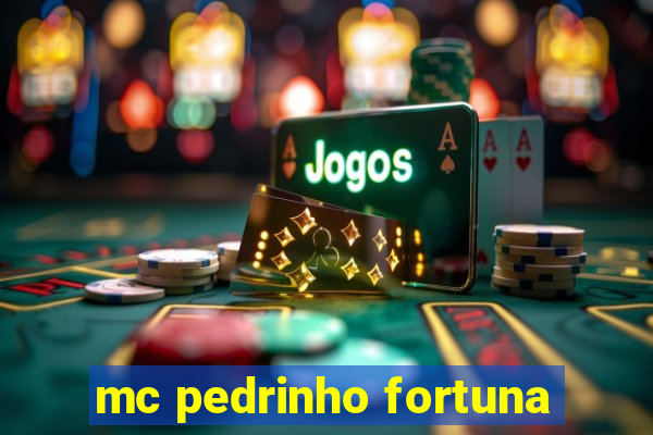 mc pedrinho fortuna